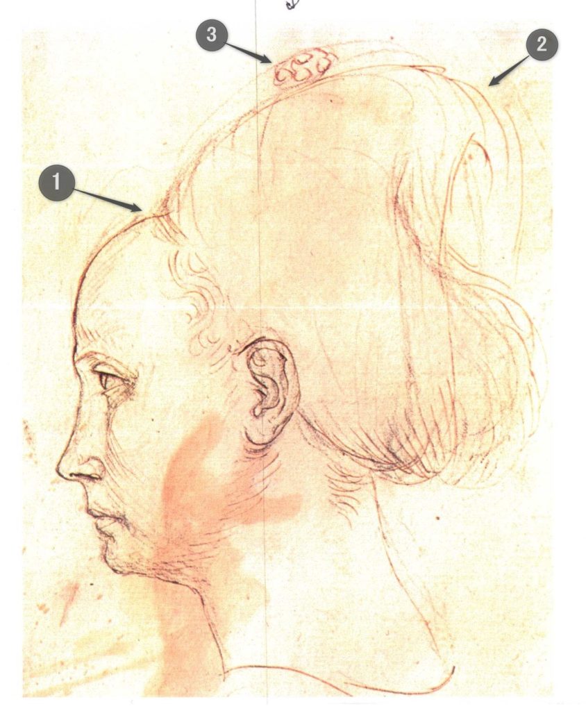 ピサネッロ女性頭部