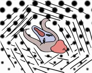 デザイナーとして独立して稼ぎたいあなたへ
